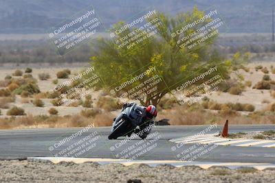 media/Apr-10-2022-SoCal Trackdays (Sun) [[f104b12566]]/Turn 5 Tree of Life (1040am)/